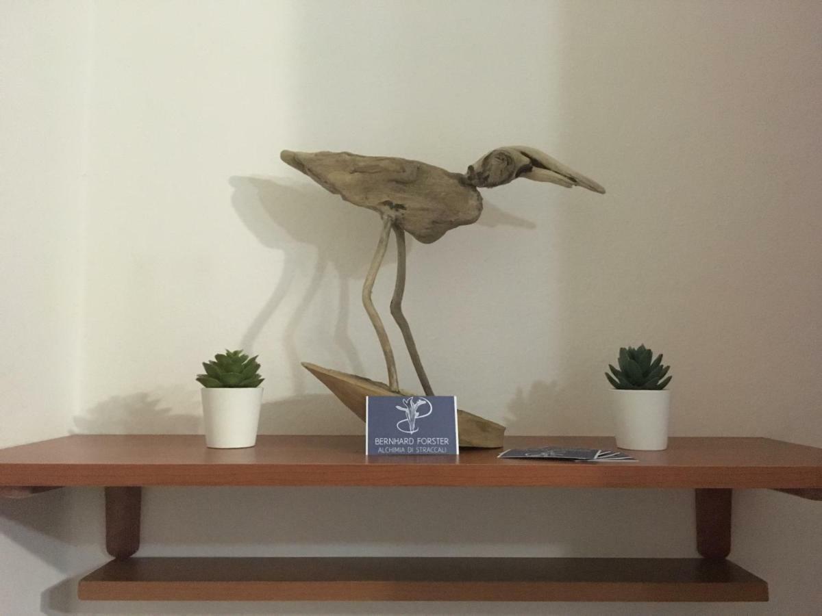 דירות וירג'יו Il Mio Piccolo Angolo Di Mare מראה חיצוני תמונה